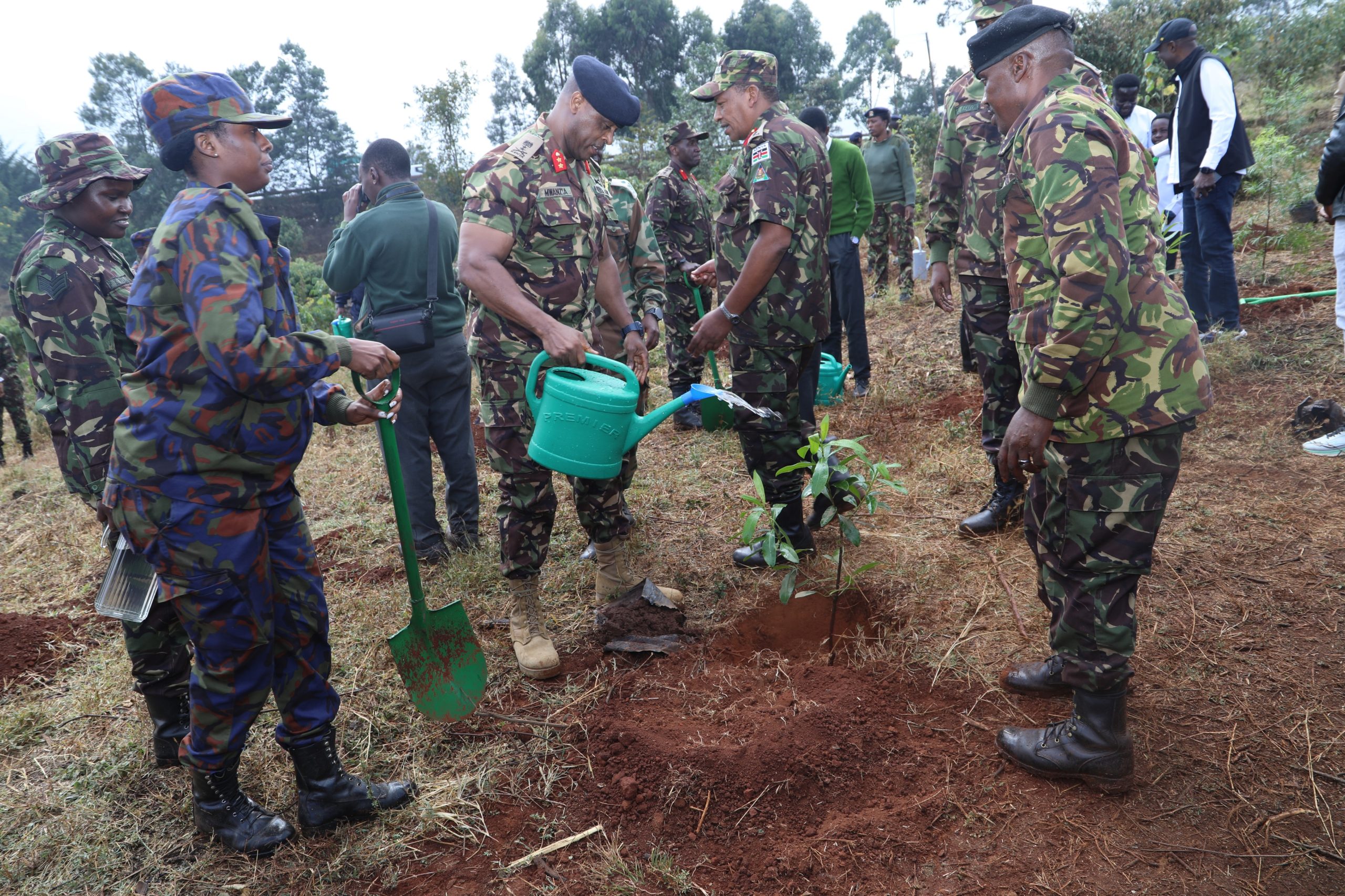 SDS Army Tree Planting at AHS(Alliance High School)