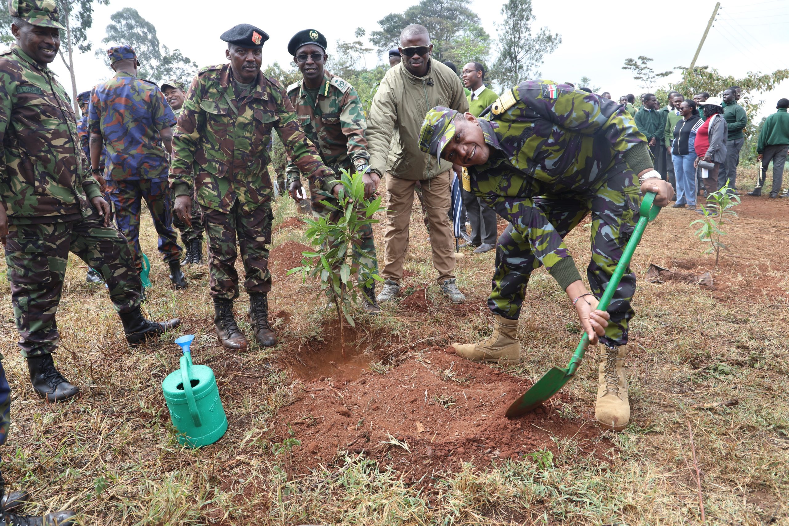 SDS Navy Tree Planting at AHS(Alliance High School)